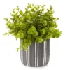 Greenery In Black & White Round Cement Pot