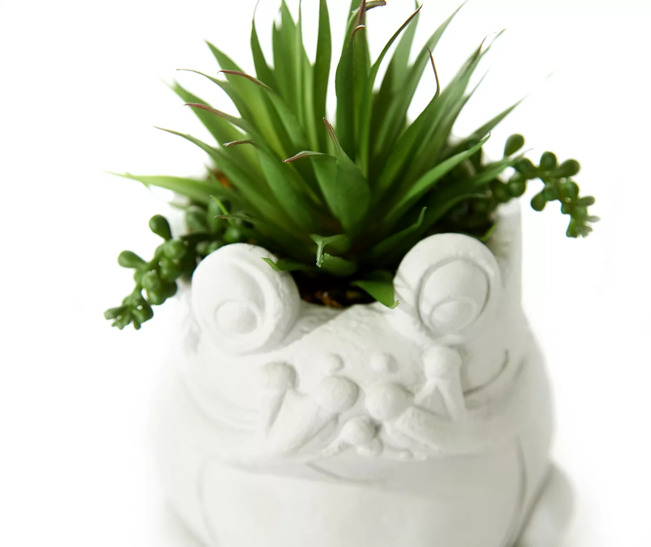 Succulent In White Cement Frog Pot - Image 2