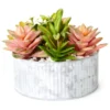 Green & Pink Succulent Arrangement in Galvanized Metal Pot