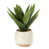 Artificial Aloe In Marble Look Ceramic Pot