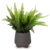 Artificial Fern In Gray Footed Pot